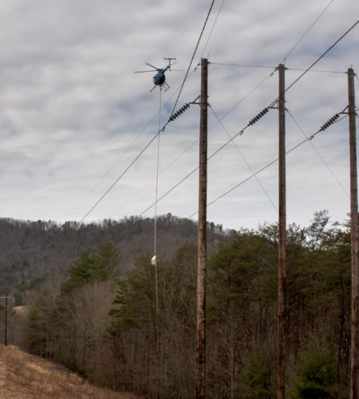 Why Tree Trimming and Vegetation Management are Critical for Reliable Power