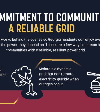 Grid Reliability